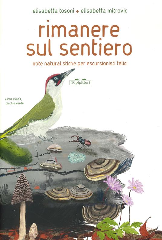 copertina