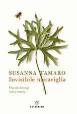 Invisibile meraviglia : piccole lezioni sulla natura